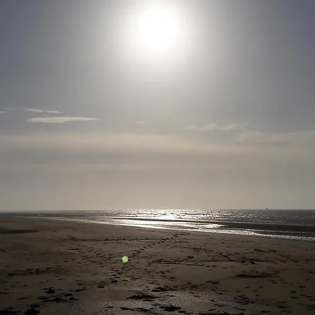 Duinenzicht De Haan-vosseslag Appartement